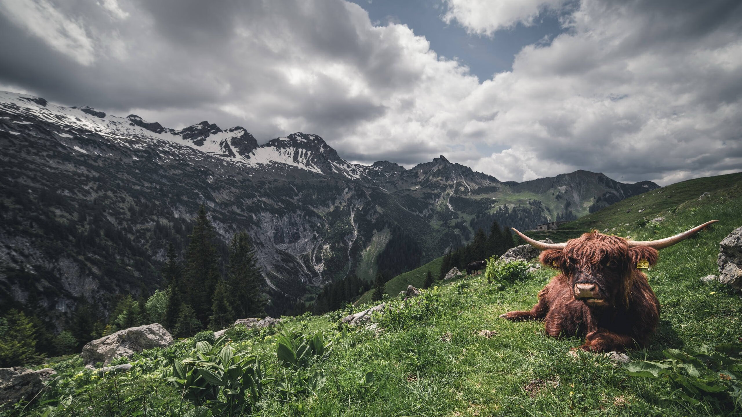 九游网页版官网入口-【全能型球员】亚伦·诺拉场上场场表现稳定，亚伦弱什么